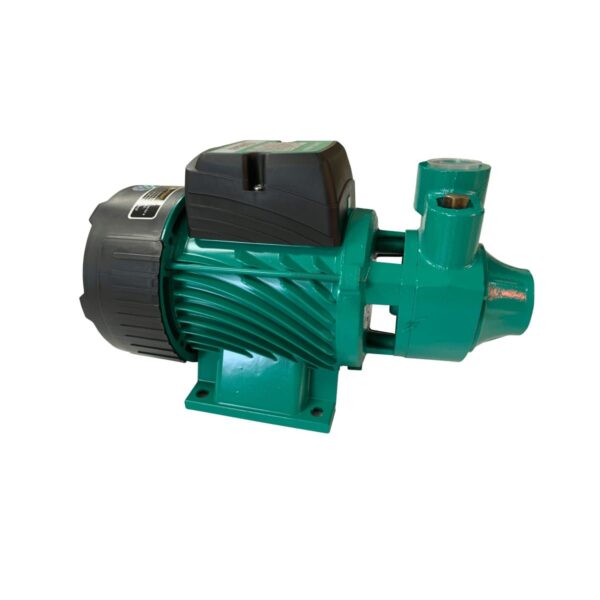 Synerji Domestic Pump 550w 220v 45L/Min 48m Head